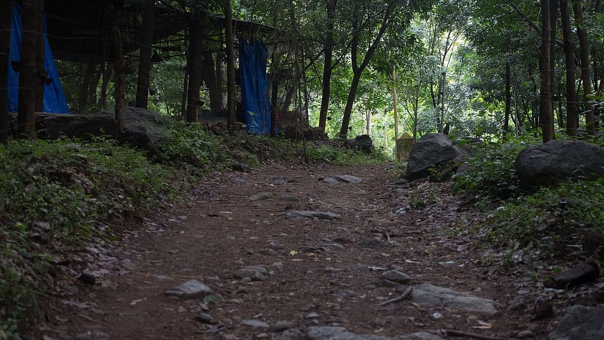 تصویر سوشل میڈیا