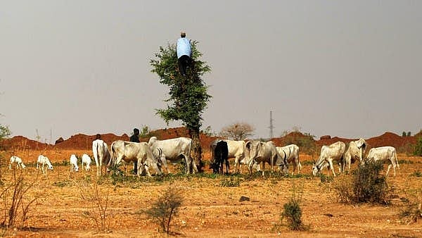 تصویر سوشل میڈیا