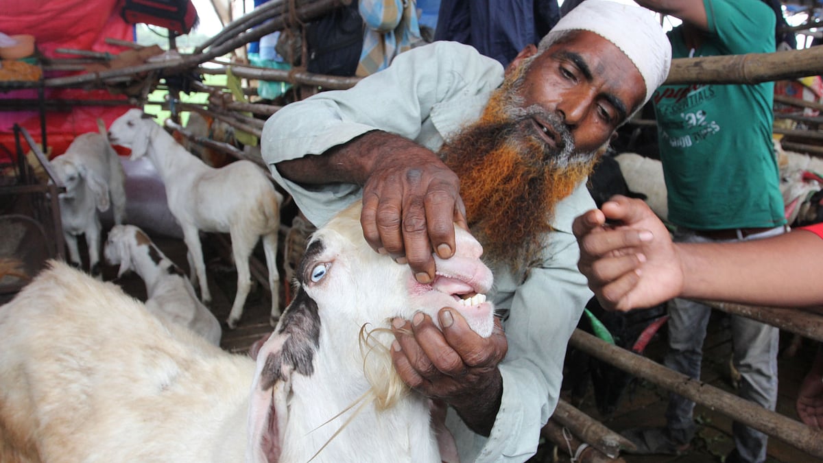 ممبئی کی بکرا منڈی کی فائل تصویر / Getty Images