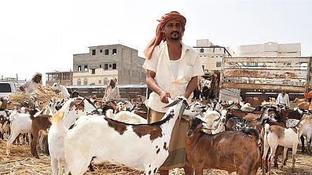 علامتی تصویر