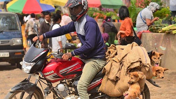 تصویر سوشل میڈیا