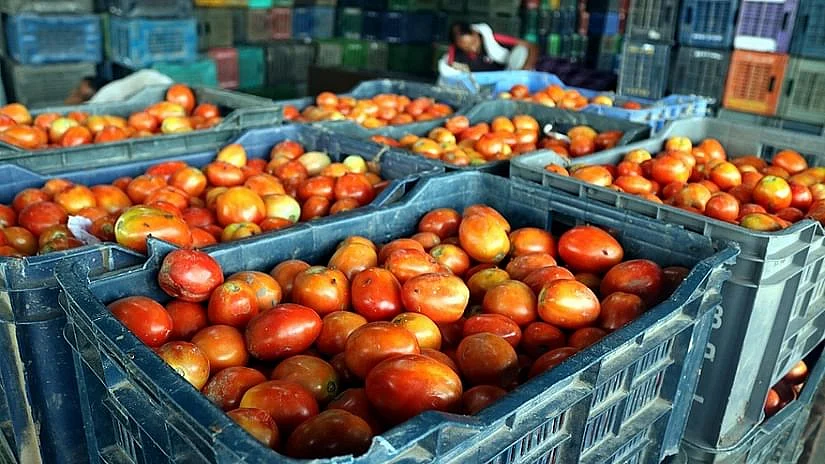 تصویر سوشل میڈیا