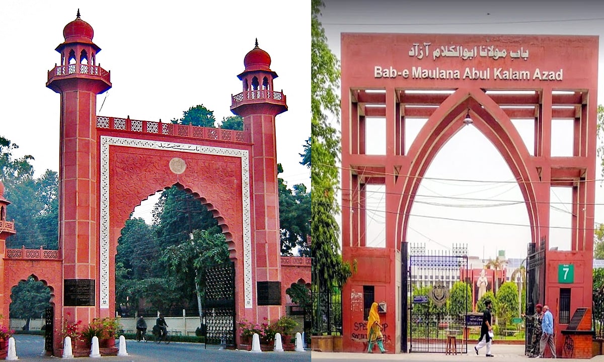 جامعہ ملیہ اسلامیہ دہلی اور علی گڑھ مسلم یونیورسٹی قوم کے لیے مشعل راہ… ظفر آغا