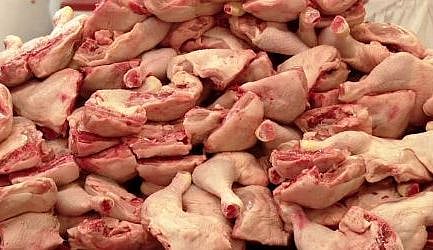تلنگانہ میں آج سے 50 ہزار چکن کی دکانیں بند، پولٹری کمپنیوں سے ناراض ’خوردہ فروشوں‘ نے لیا فیصلہ