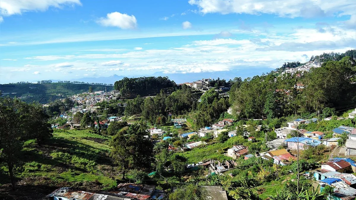تصویر سوشل میڈیا