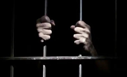 بیرون ممالک کی جیلوں میں 8437 ہندوستانی قید، یو اے ای میں ہندوستانی قیدیوں کی تعداد سب سے زیادہ