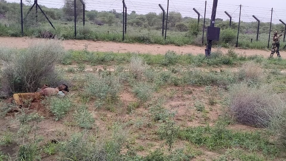 تصویر سوشل میڈیا