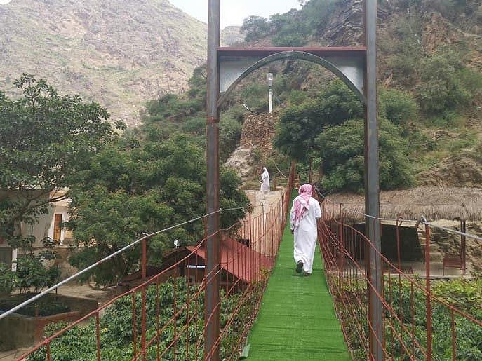 سعودی عرب: کافی کے کھیتوں کے درمیان سبز بریج عوام وخواص کی توجہ کا مرکز