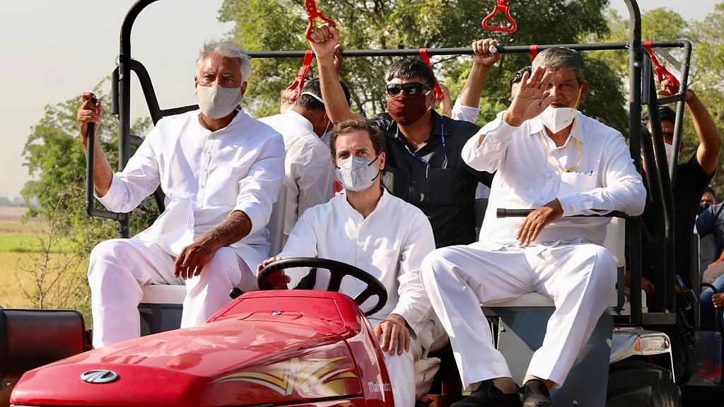 پنجاب میں ’کھیتی بچاؤ یاترا‘ کے دوران ٹریکٹر چلاتے ہوئے کانگریس لیڈر راہل گاندھی / تصویر سوشل میڈیا