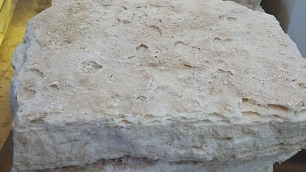 سعودی شہر جس کی مٹی سے نمک حاصل کیا جاتا ہے