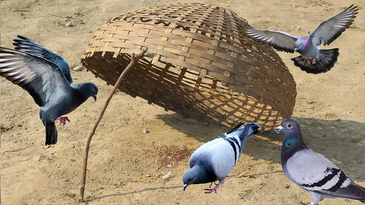 تصویر سوشل میڈیا