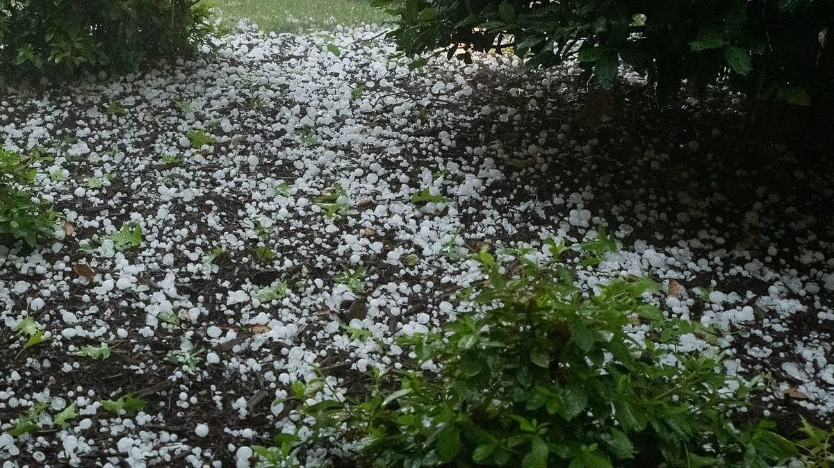 علامتی تصویر