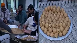 کسان تحریک: نوجوان کسانوں کے لئے تیار کر رہے لڈو اور اپنے ہاتھ کی روٹی کھلانا چاہتی ہیں خواتین