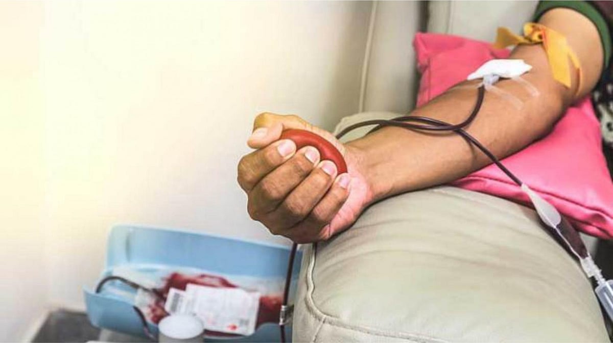 شیوسینا خون عطیہ کرنے والوں کو تحفہ میں دے گی ’چکن اور پنیر‘