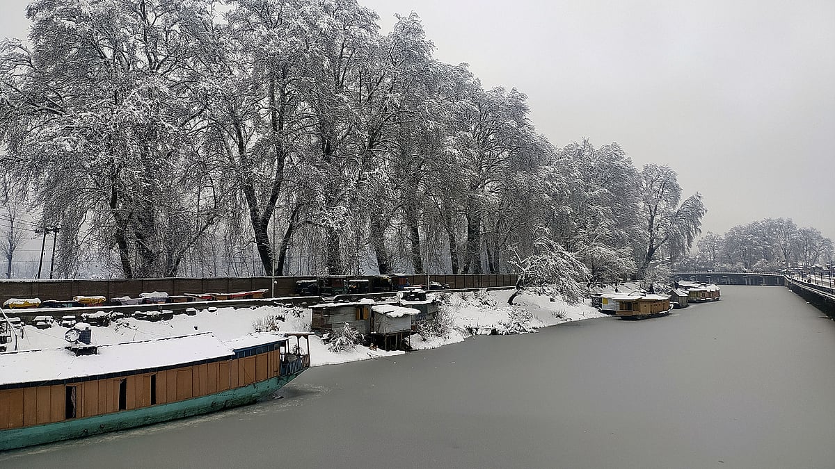 تصویر یو این آئی