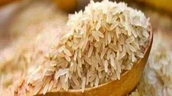 <div class="paragraphs"><p>چاو / تصویر آئی اے این ایس</p></div>