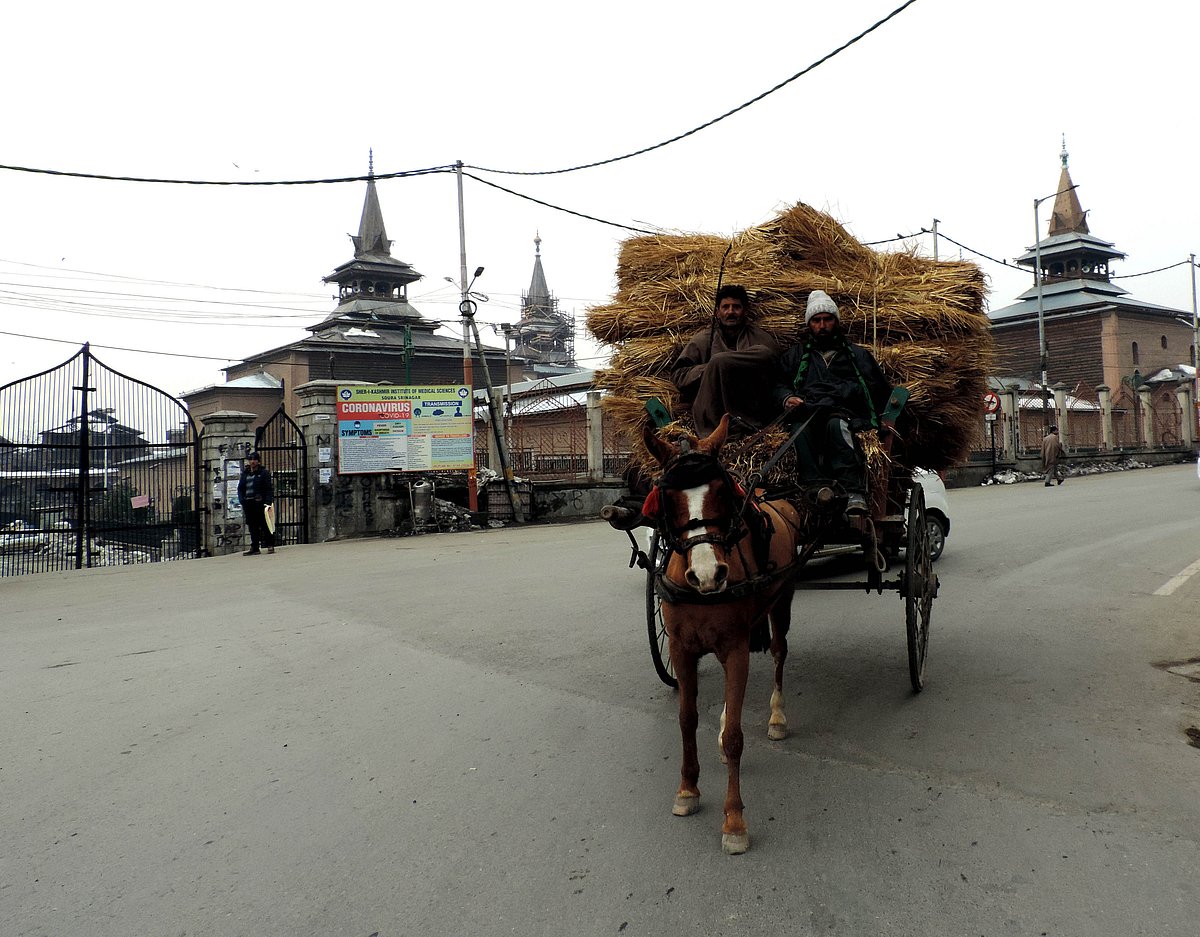 کشمیر: افضل گورو کی آٹھویں برسی پر کہیں مکمل تو کہیں جزوی ہڑتال