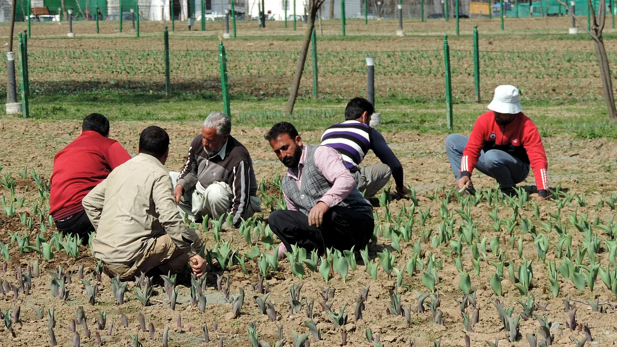 تصویر یو این آئی