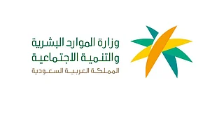 العربیہ ڈاٹ نیٹ