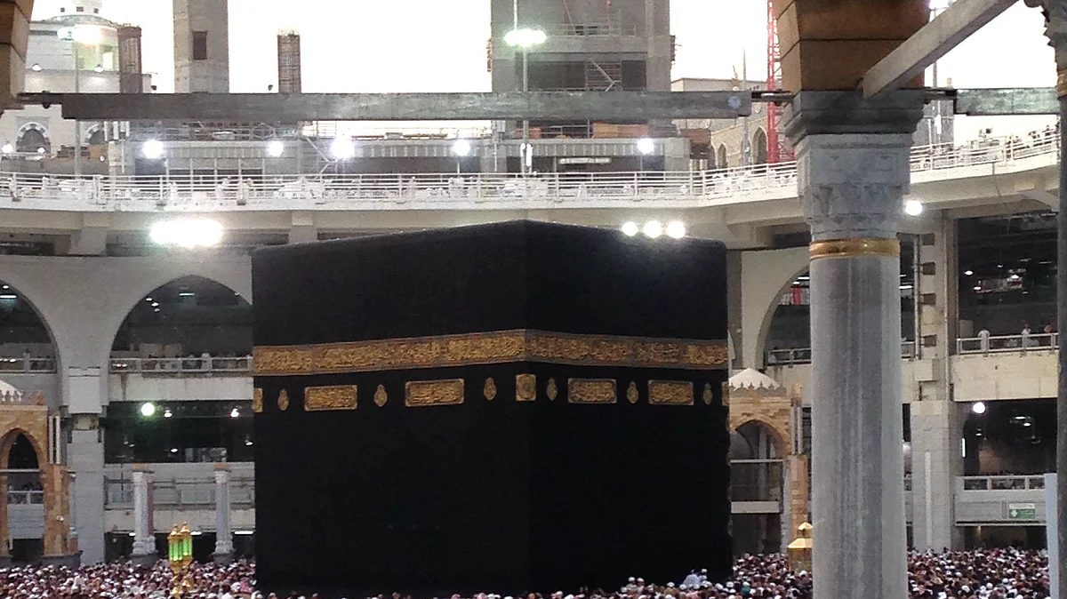 فائل تصویر آئی اےاین ایس 