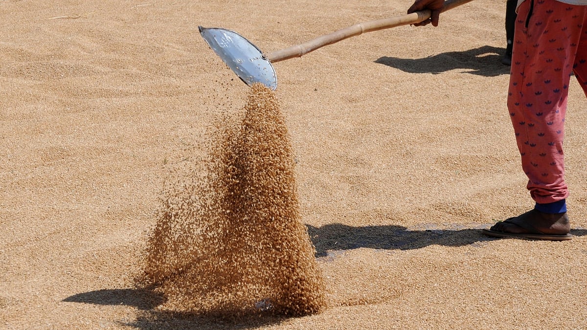 تصویر آئی اے این ایس