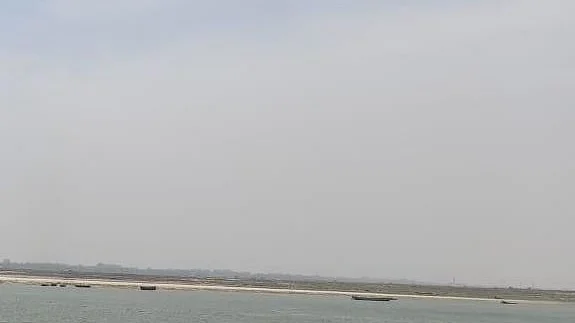 علامتی