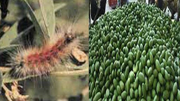 تصویر یو این آئی