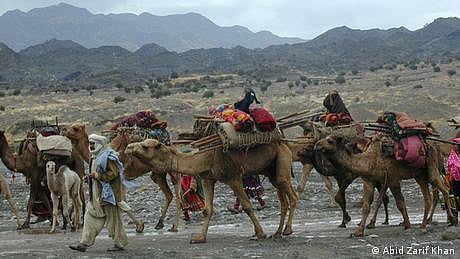 کوچی کون ہیں اور یہ پاکستان کیوں آتے ہیں؟