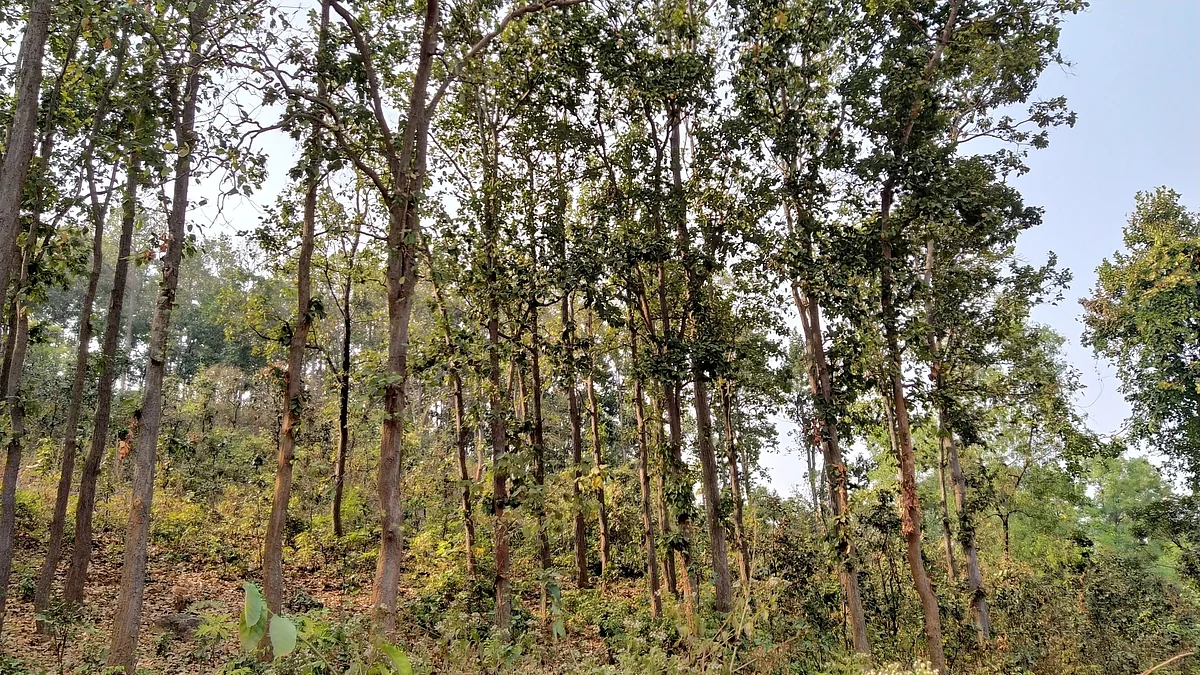 علامتی، تصویر آئی اے این ایس