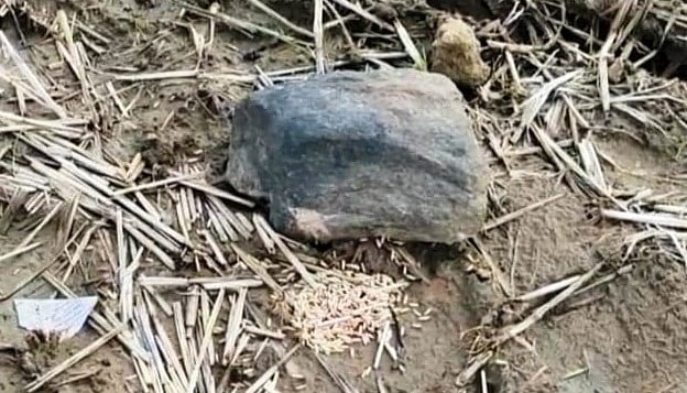 مہاراشٹر: کھیت میں نصب مورتی کو انجانے میں نقصان پہنچانے پر کسان کے سماجی بائیکاٹ کی دھمکی، 8 کے خلاف مقدمہ 