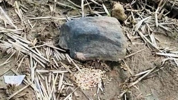 کھیت میں نصب دیوتا کی مورت / آئی اے این ایس