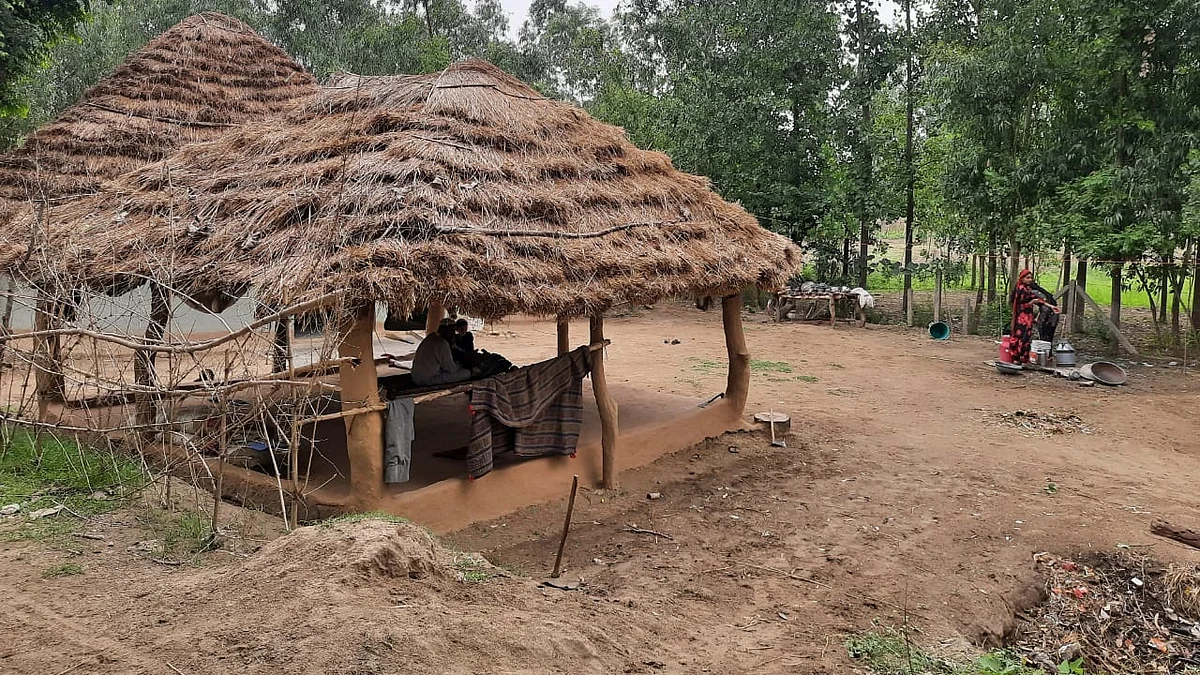 تصویر بذریعہ آس محمد کیف
