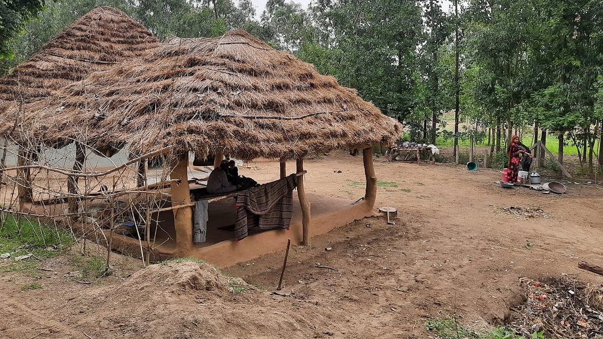 تصویر بذریعہ آس محمد کیف