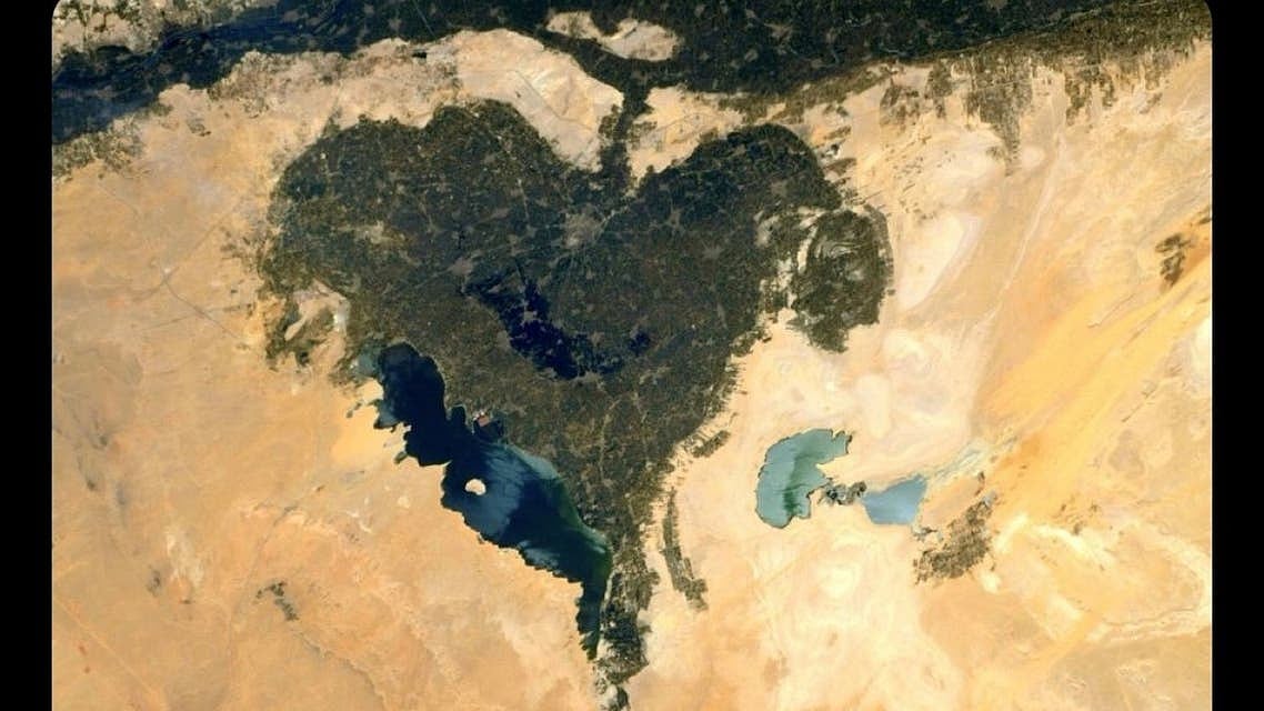 العربیہ ڈاٹ نیٹ