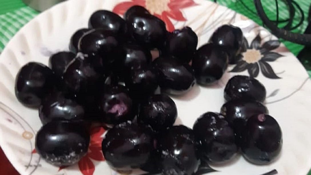 جامن، تصویر قومی آواز