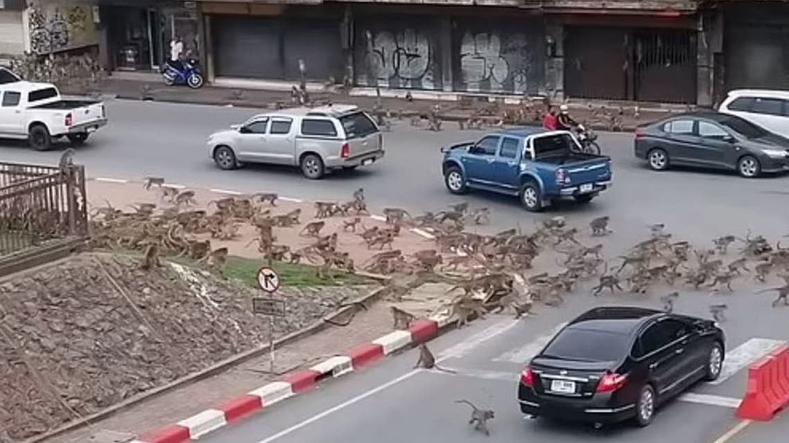 العربیہ ڈاٹ نیٹ