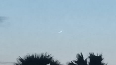 تصویر سوشل میڈیا