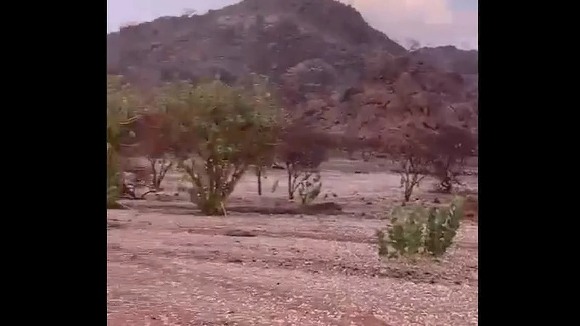 سعودی عرب