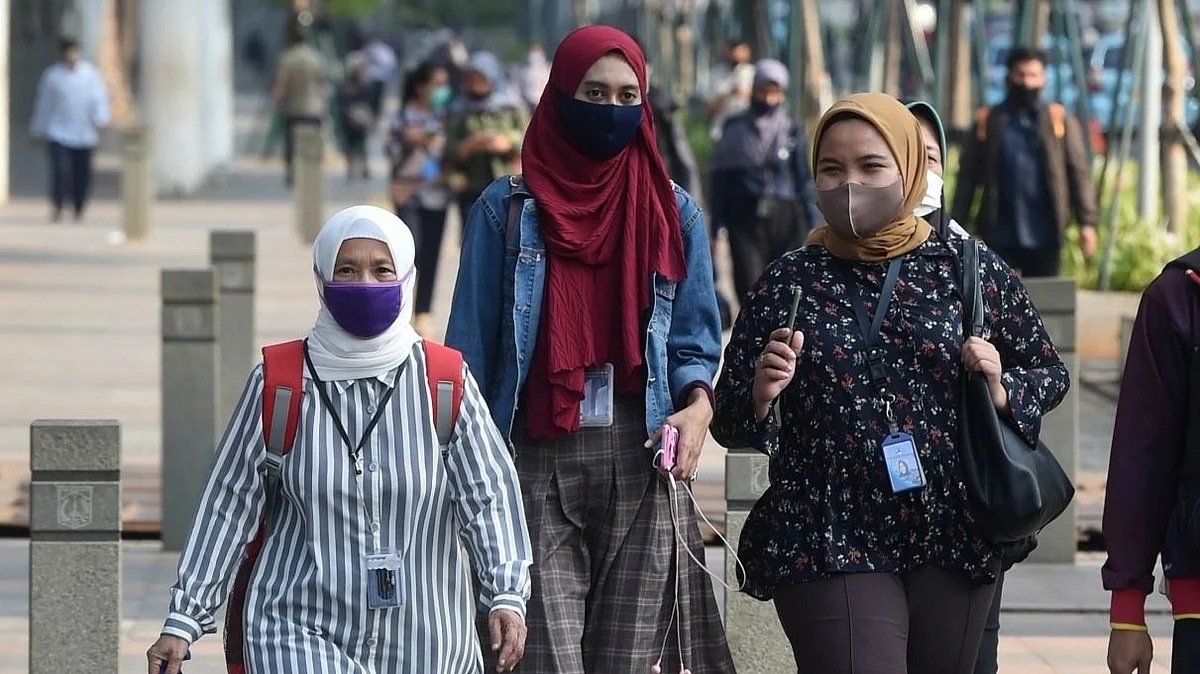 علامتی فائل تصویر آئی اےاین ایس