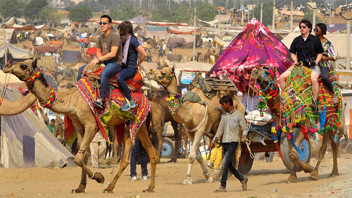 راجستھان سیاحت / آئی اے این ایس