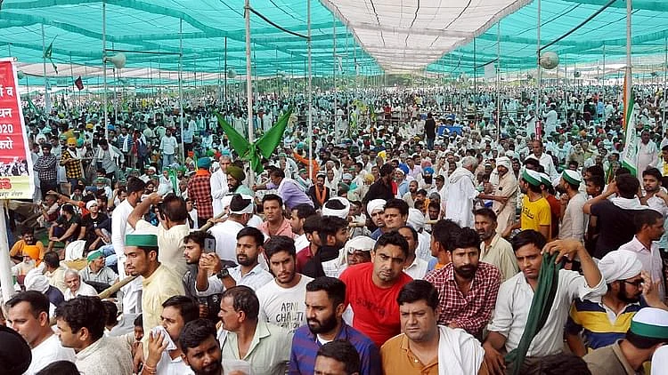 تصویر سوشل میڈیا