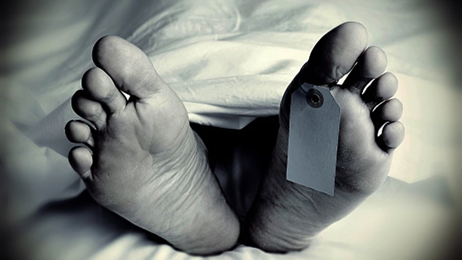 علامتی تصویر / آئی اے این ایس