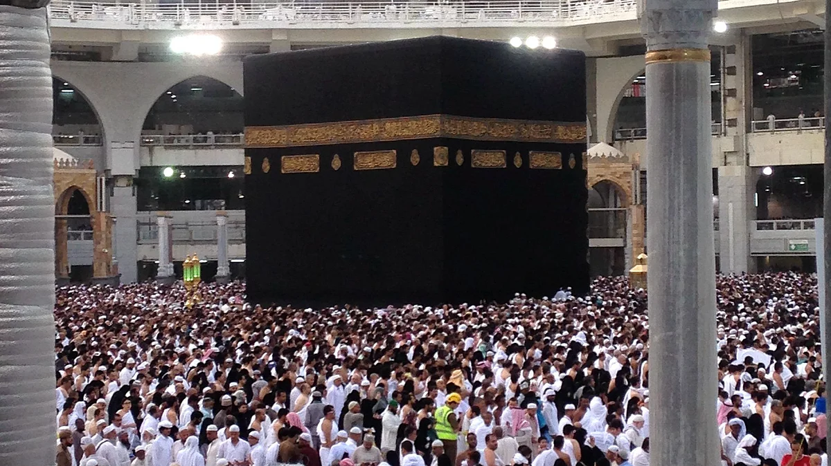 فائل تصویر آئی اے این ایس