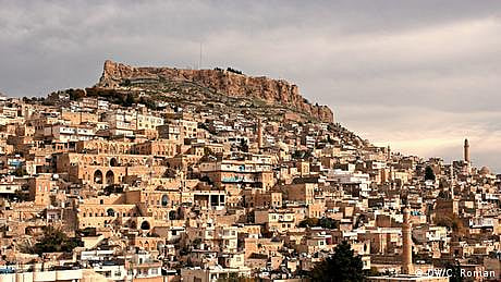 بیتھوون کی موسیقی پر خرمستیاں کرنے والے ترک بلدیہ کے  گدھے