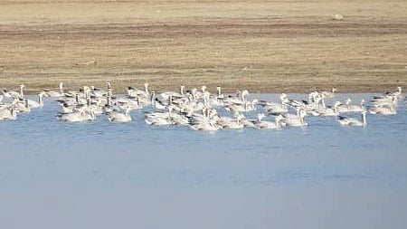 علامتی تصویر / آئی اے این ایس