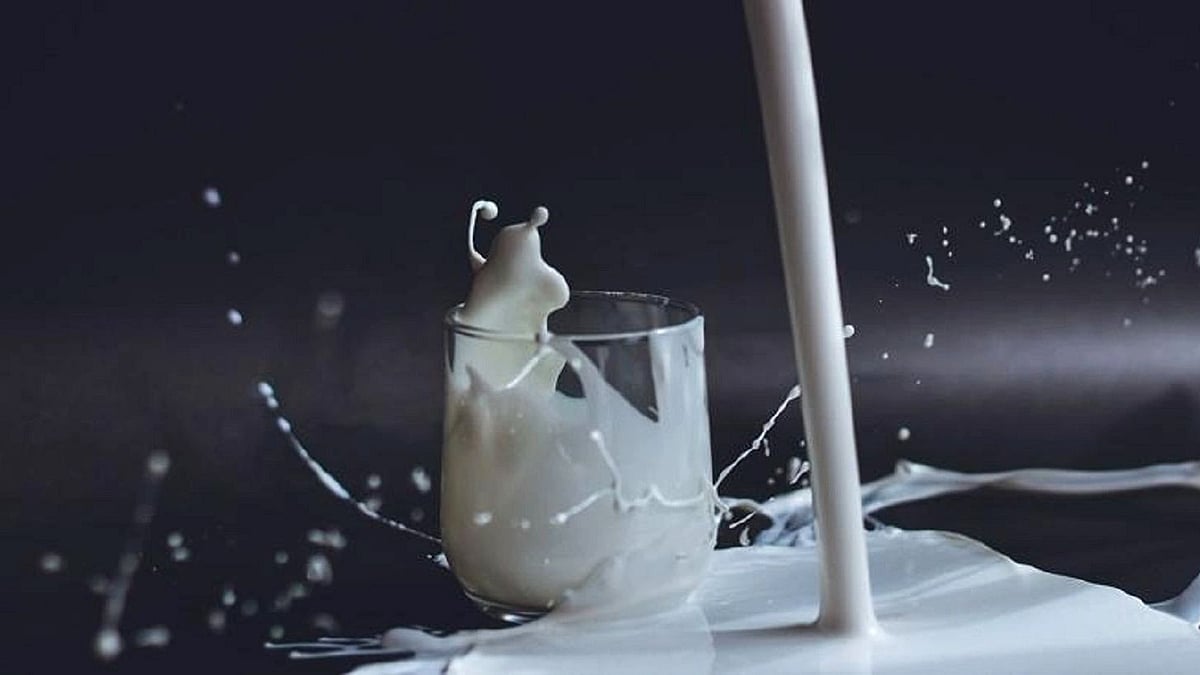 دودھ، تصویر آئی اے این ایس