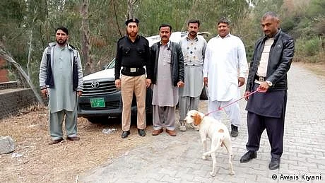 کتوں کے ذریعے غیر قانونی شکار، کتا عدالت کے کٹہرے میں
