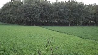 علامتی تصویر