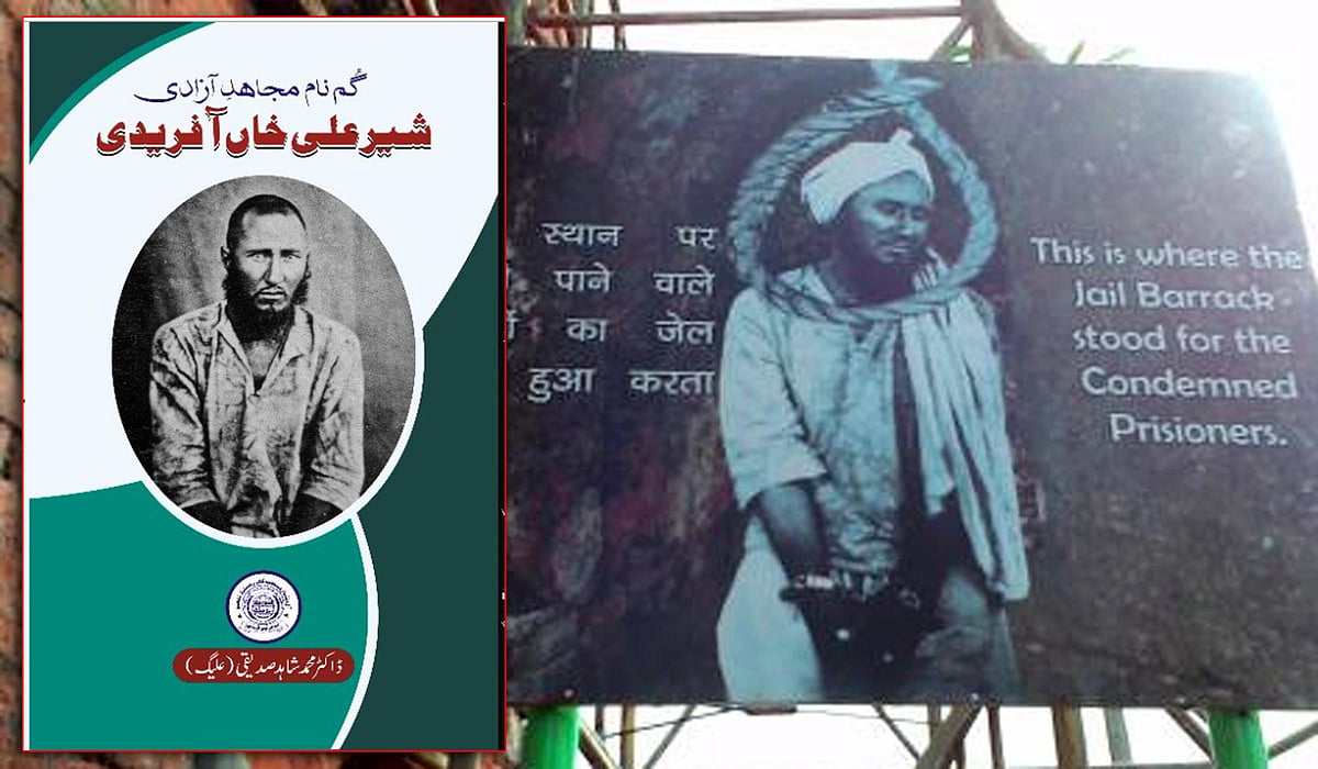 تجزیہ: گمنام مجاہد آزادی: شیر علی خاں آفریدی