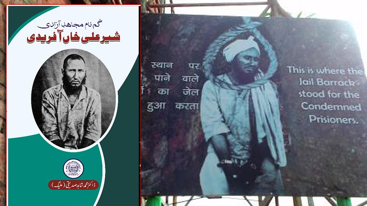 تجزیہ: گمنام مجاہد آزادی: شیر علی خاں آفریدی